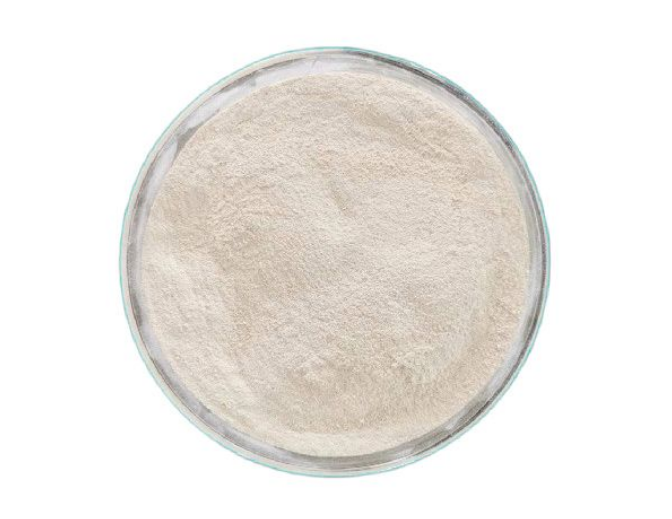 Dicalcium Phosphate