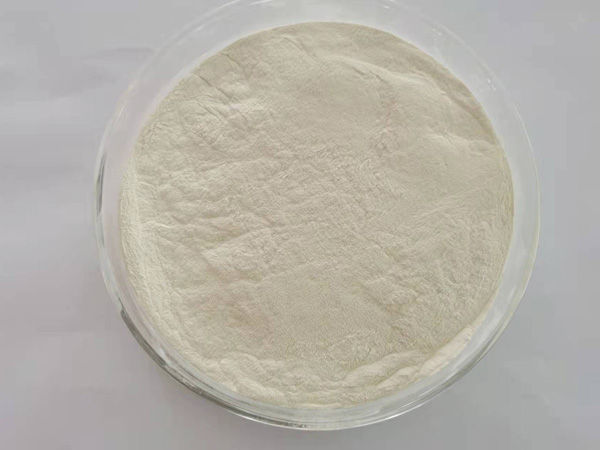 Ferrous Sulphate Monohydrate