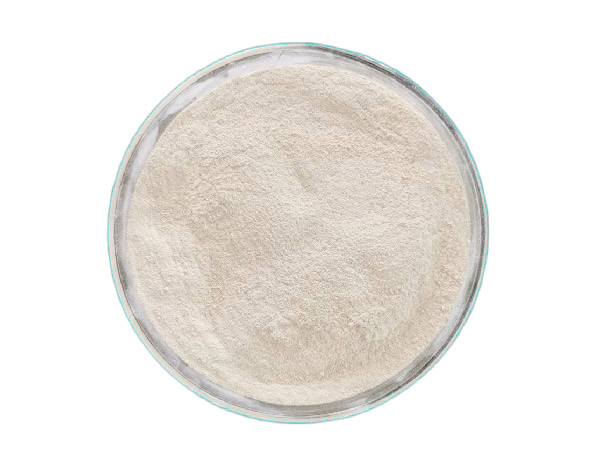 Dicalcium Phosphate