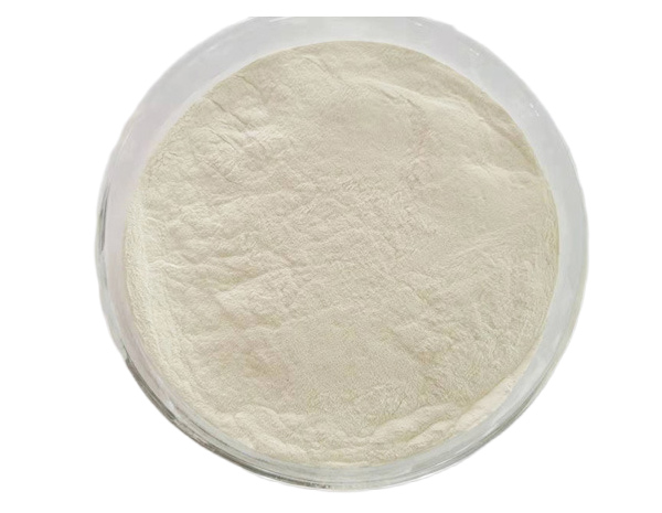 Ferrous Sulphate Monohydrate