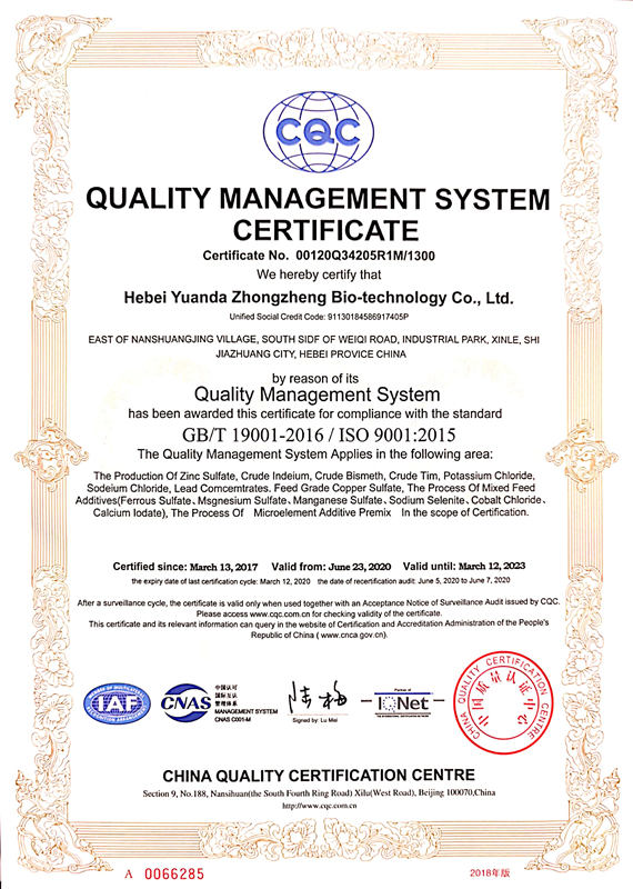 ZINC SULPHATE ISO9001
