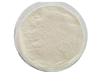 What is Ferrous Sulphate Monohydrate?