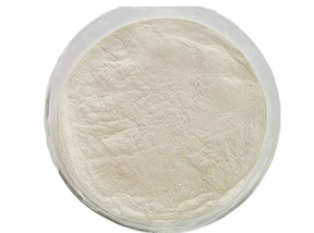 What is Ferrous Sulphate Monohydrate?