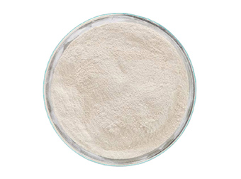 What Does Dicalcium Phosphate Do for Dog?